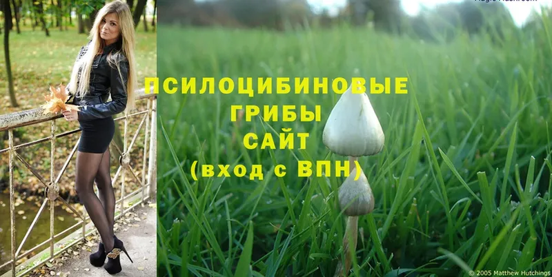 Псилоцибиновые грибы Magic Shrooms Собинка